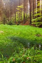 ���������ļ�