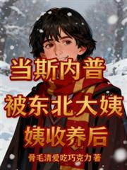 当斯内普被东北大姨收养后