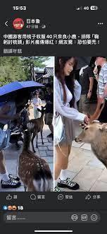 华娱:从和台妹同居开始