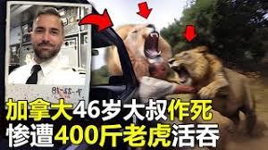 人在末日,向死而生