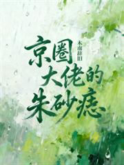 京圈大佬的硃砂痣